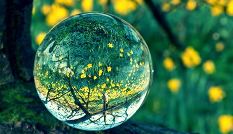 ONU-cria-fórum-global-sobre-desenvolvimento-sustentável